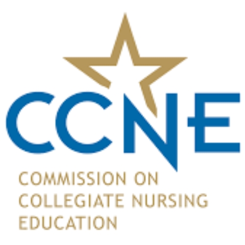 CCNE logo