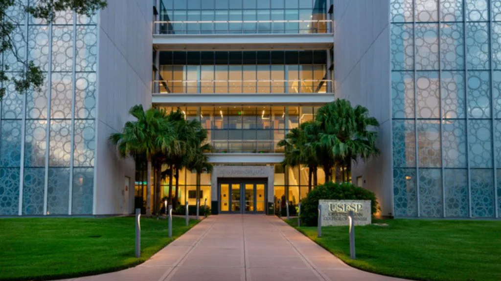 University of South Florida