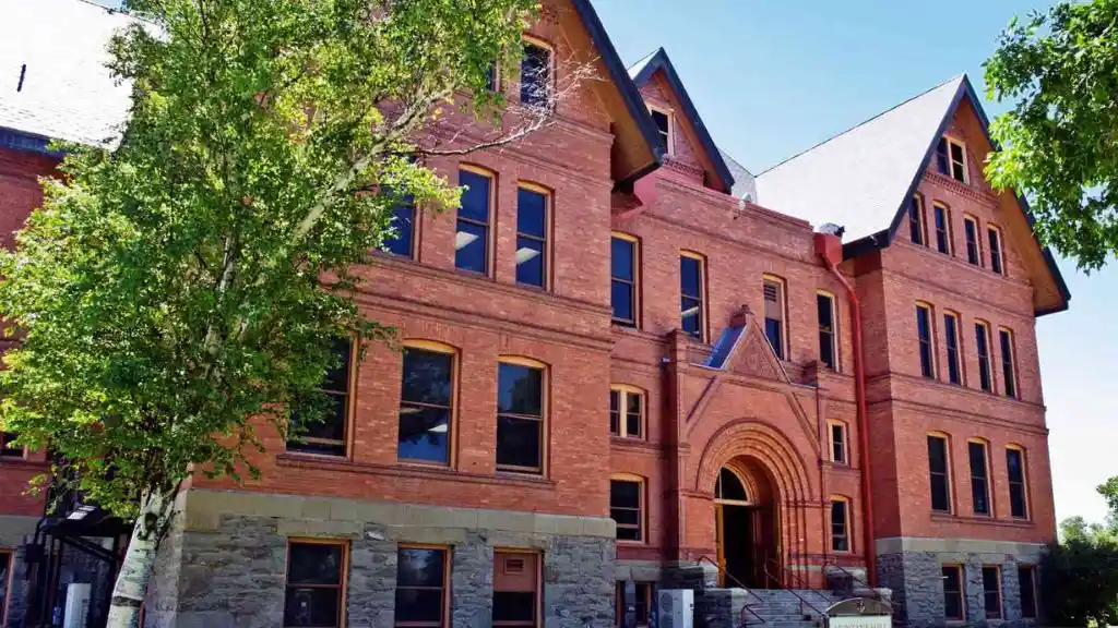 montana state university billings 