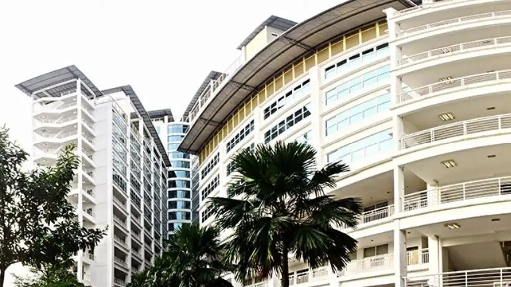 Management & Science University