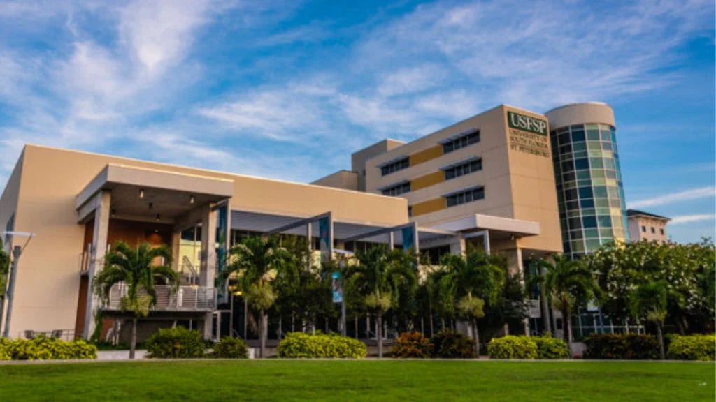 University of South Florida