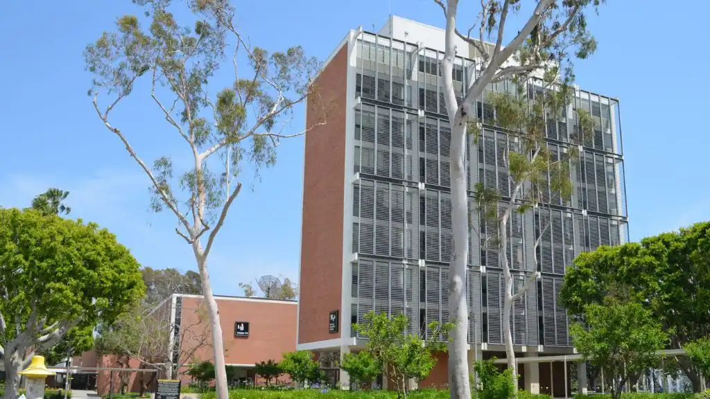 California State University
