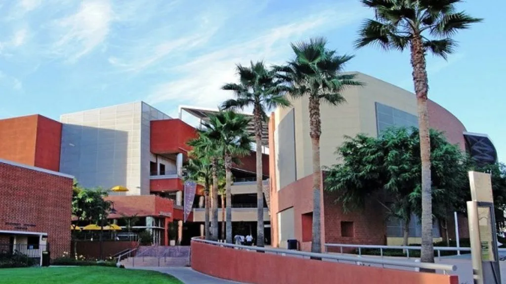 California State University