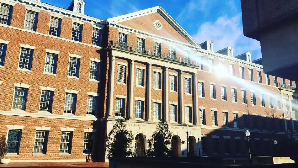 American International School of Medicine