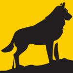 Michigan Technological University